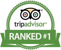 tripadvisor voted number one excursion punta cana